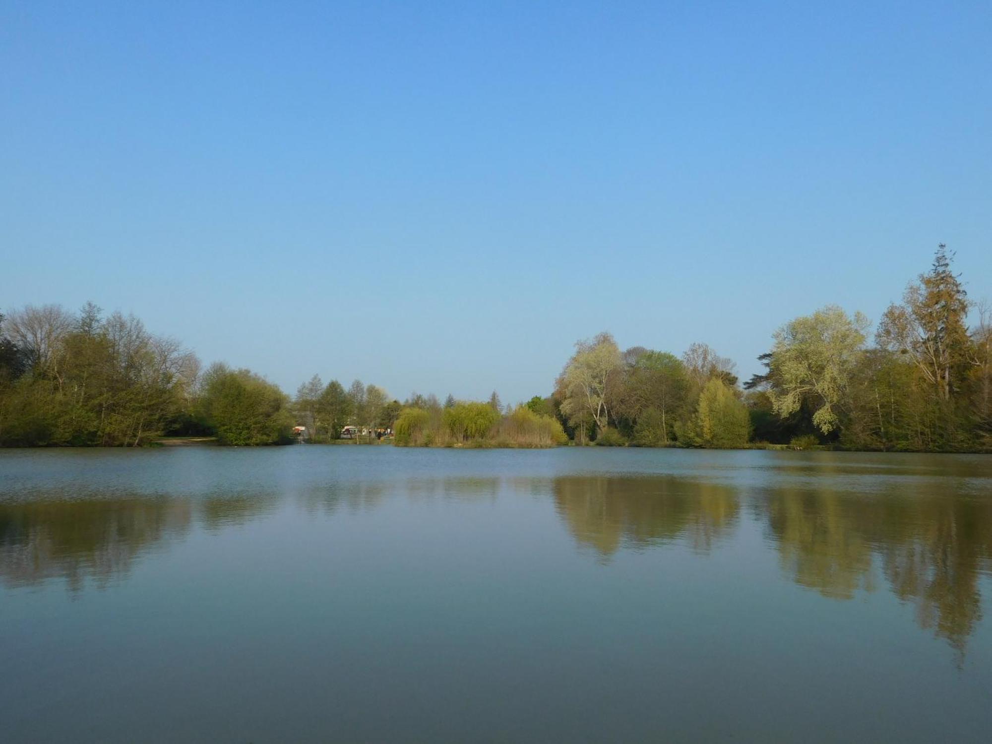 Village De Gites Nature Et Jardin Bouere エクステリア 写真
